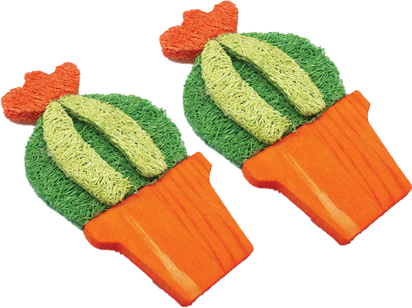 A&E Nibbles Loofah Barrel Cactus Chew