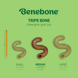 Benebone Tripe Flavored Bone Dog Chew Toy