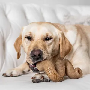 Benebone Tripe Flavored Bone Dog Chew Toy