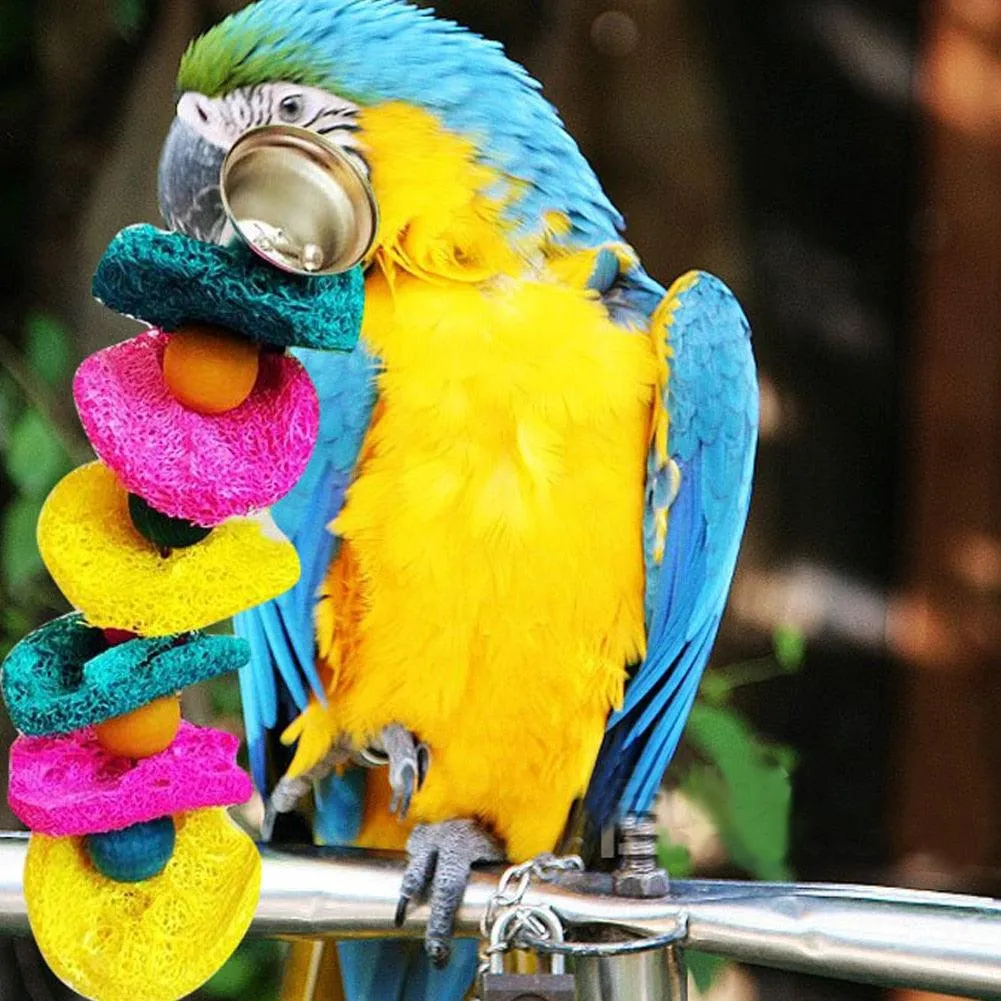 Swing Chew Toy for Birds